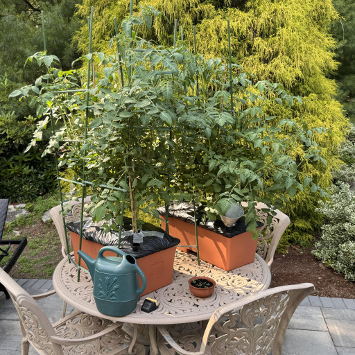 EarthBox Original Garden Kit with Standard Fertilizer