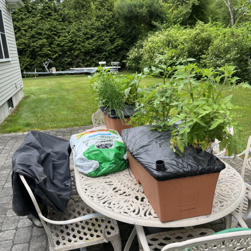 Grow Box Nutrient Patch | Buy GrowBox Replanting Kit